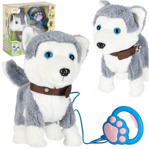 piesek-interaktywny-na-smyczy-szczeka-chodzi-rusza-ogonem-husky-175707