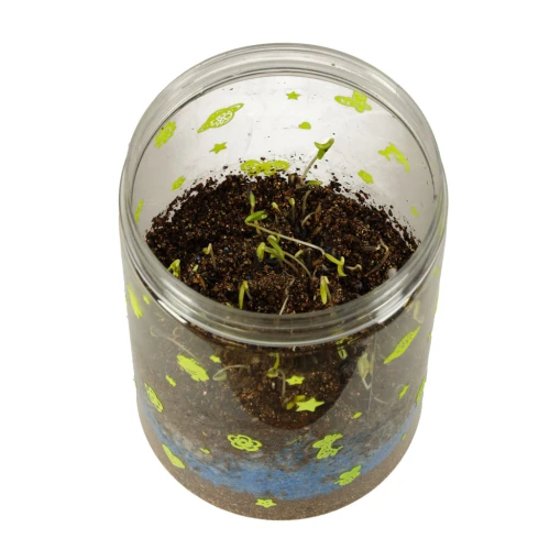 hodowla-dinozaurow-terrarium-projektor-z-lampka-nocna-led-161636